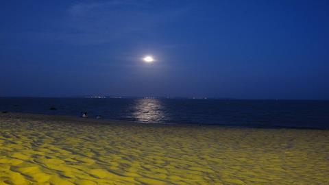 图片明月照海岸