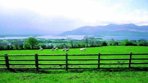 图片苏格兰牧场