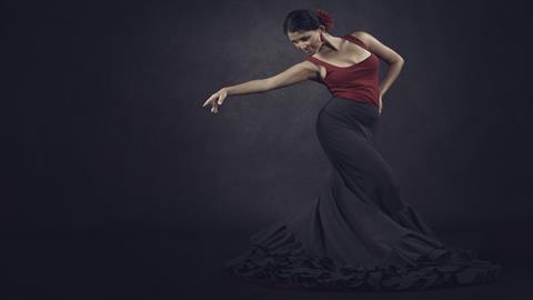 图片弗拉门戈舞者