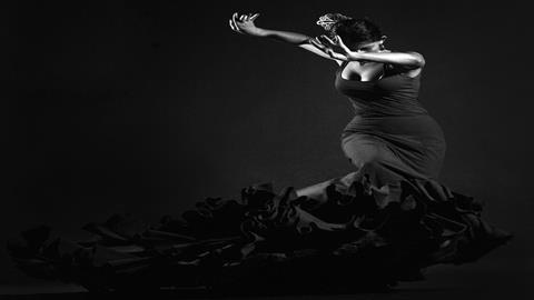 图片弗拉门戈舞者