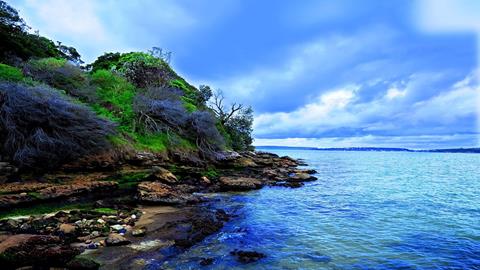 图片大洋洲风采