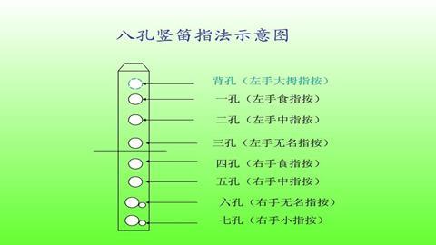 图片竖笛指法示意图