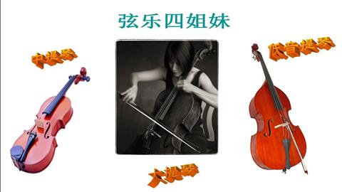 图片弦乐家族