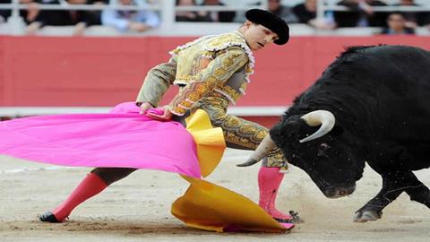 图片西班牙独眼斗牛士