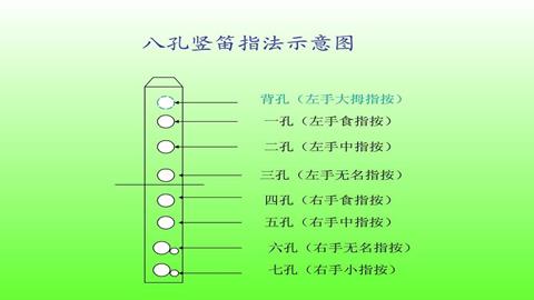 图片竖笛指法示意图