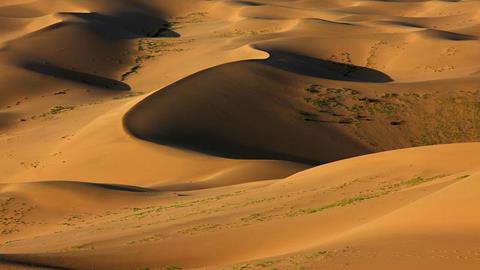 图片荒凉的撒哈拉沙漠