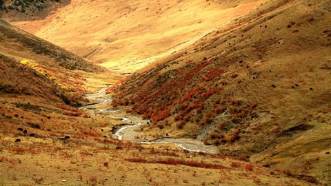 教案加拿大简介