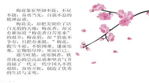 图片梅花的精神