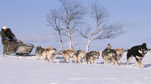 图片缓缓前进的雪橇