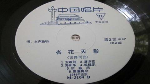 图片《杏花天影》唱片