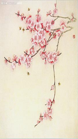 图片杏花工笔画