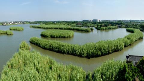 图片沙家浜景区