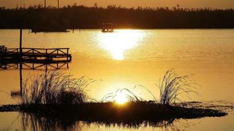 图片沙家浜景区