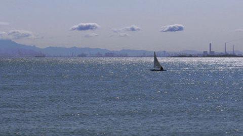 图片夏日泛舟海上