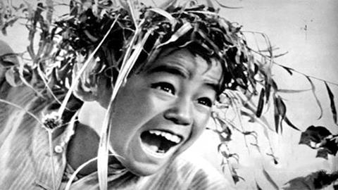 图片抗战英雄—小兵张嗄