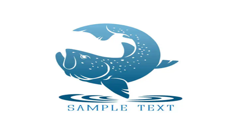 图片鳟鱼的主题