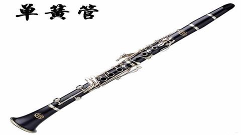 图片《小巫师》使用乐器—单簧管