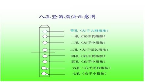 图片八孔竖笛指示法