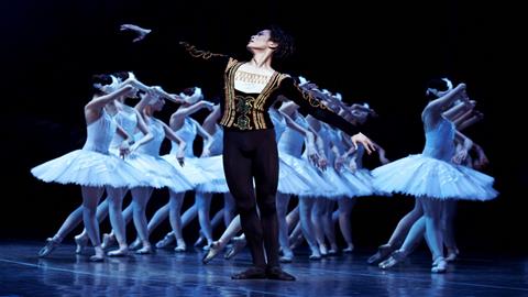 图片天鹅湖—剧照