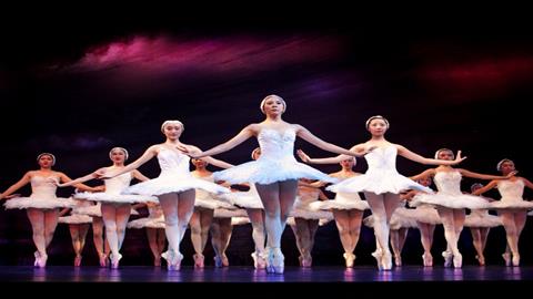 图片天鹅湖—剧照