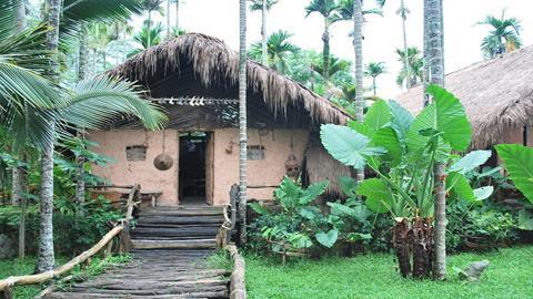 图片黎族—茅草屋