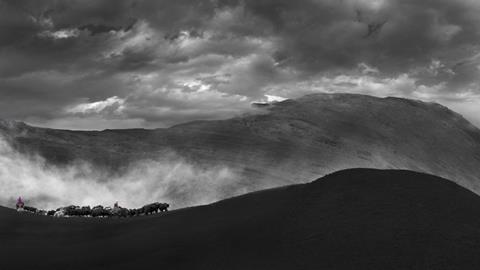 图片黄土高坡—高原放牧