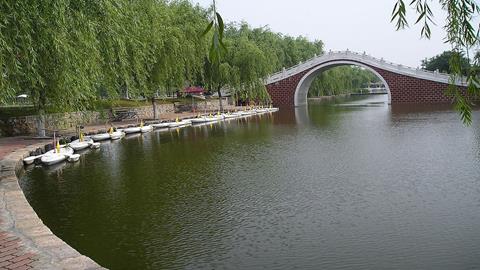 图片《弯弯的月亮》的歌词学习—弯弯的小桥