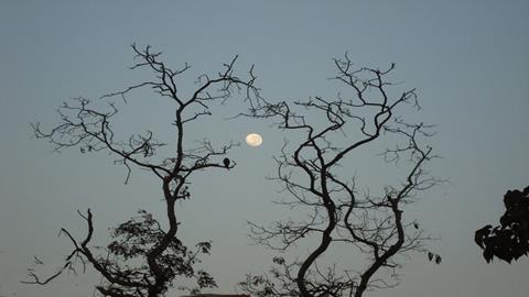 图片思乡—月圆思乡