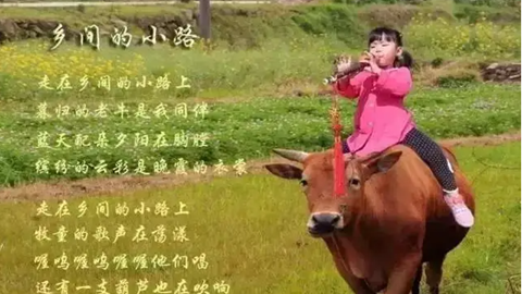 图片《乡间的小路》歌曲介绍介绍
