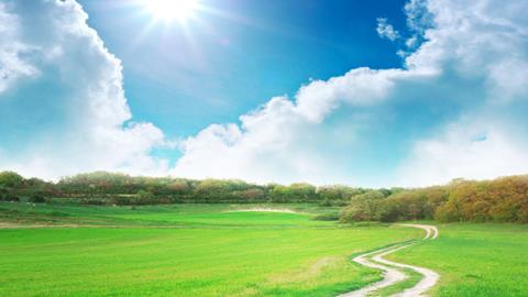 图片乡间小路—骄阳下的乡间小路