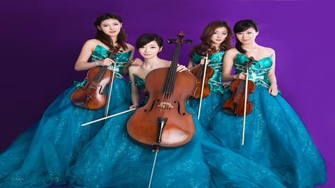 图片小提琴中提琴大提琴