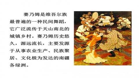 赛乃姆简介
