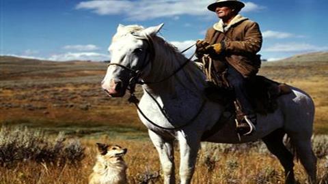 猎人——猎人与猎狗