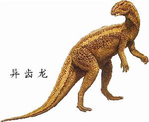 图片异齿龙