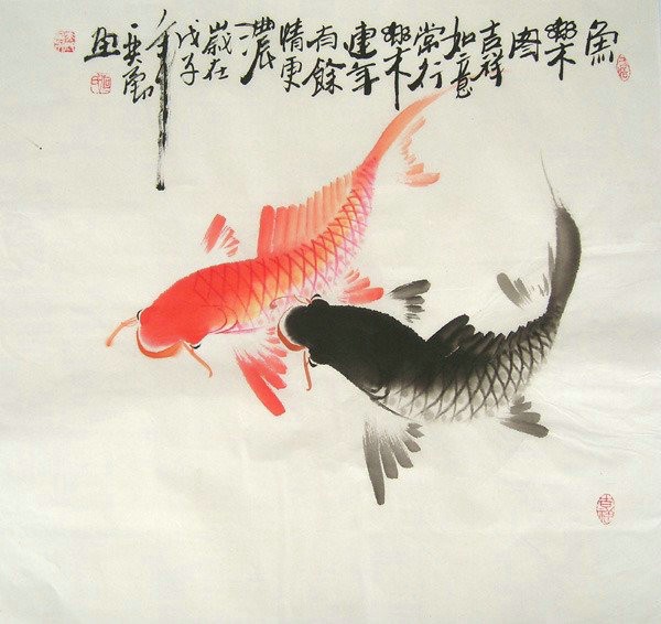 图片鱼之乐(3)