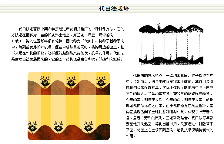 图片代田法